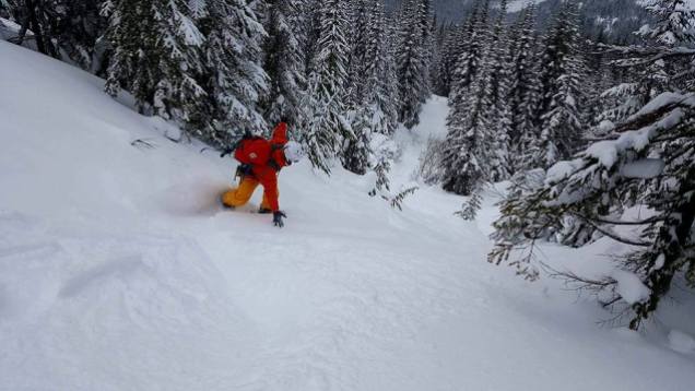 Pow! Gotta love pow with the solitude of the backcountry midweek.